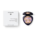 DR.HAUSCHKA Colour Correcting Powder 01 activatin