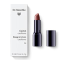 DR.HAUSCHKA Lipstick 14 caralluma
