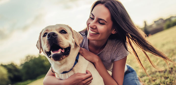 Zeckenschutz bei Tieren