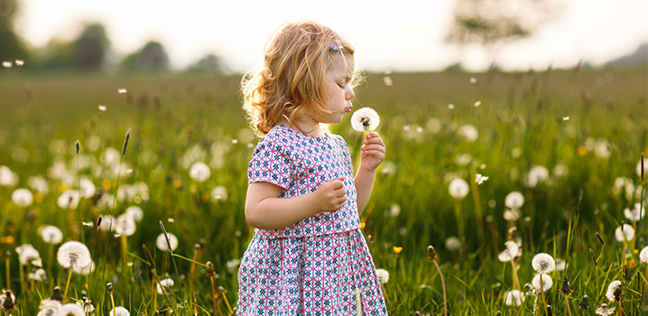 Mädchen auf einer Sommerwiese mit Pusteblume