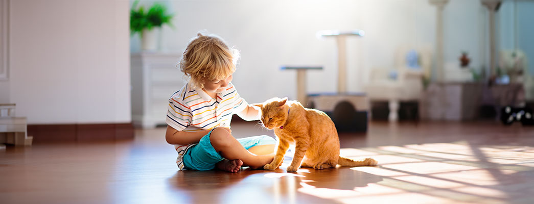 Junge sitzt auf dem Fußboden und spielt mit einer roten Katze