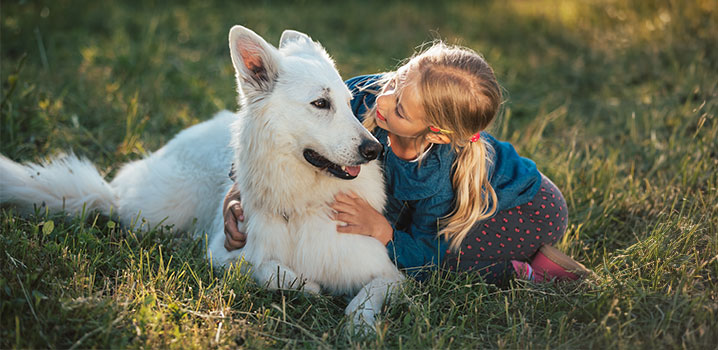 Mädchen kniet auf einer Wiese und kuschelt mit einem weißen Schäferhund
