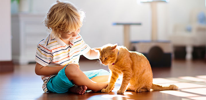 Junge sitzt auf dem Fußboden und spielt mit einer roten Katze