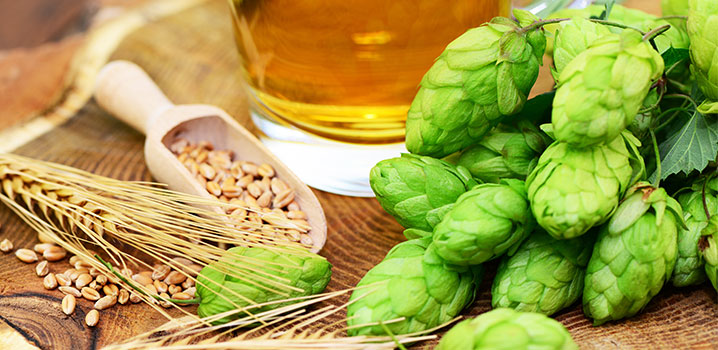 Holzbrett mit Hopfen, Malz, Gerste und einem Bierglas