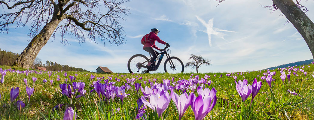 Radfahrer radelt auf Frühlingswiese
