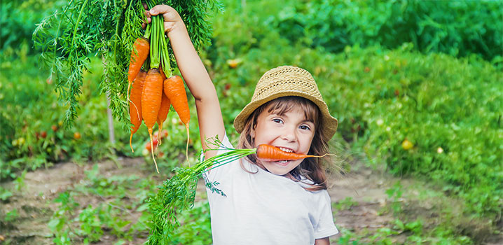 Mädchen mit Strohhut hat eine Karotte quer im Mund und hält ein Bund Karotten hoch