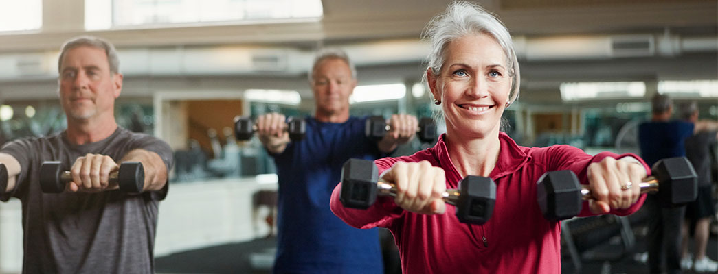 Muskeln - wahre Kraftpakete