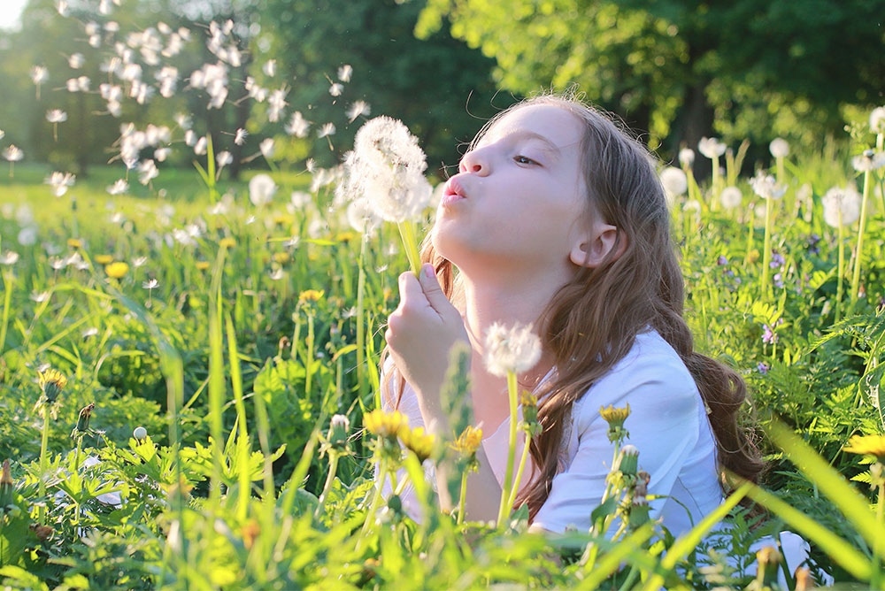 Abbildung: Allergien - Infos & Tipps